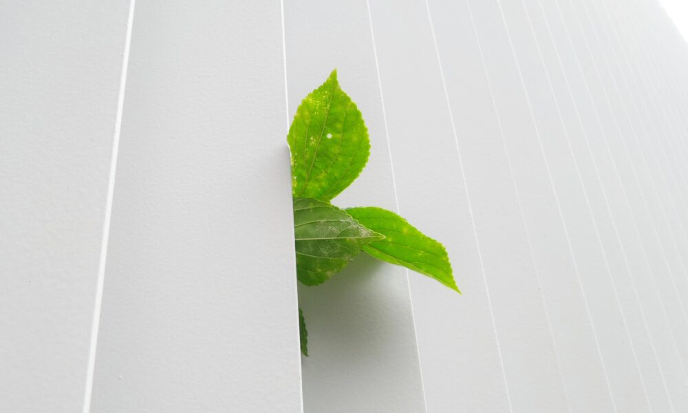 Harnessing the Green in Greenwood Fence: Embracing Eco-Friendly Fencing Solutions